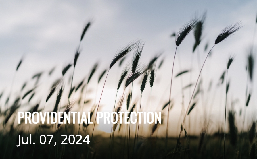 PROVIDENTIAL PROTECTION